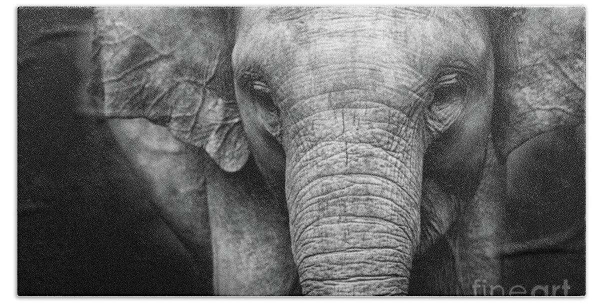 Elephant Hand Towel featuring the photograph Baby Elephant #1 by Charuhas Images
