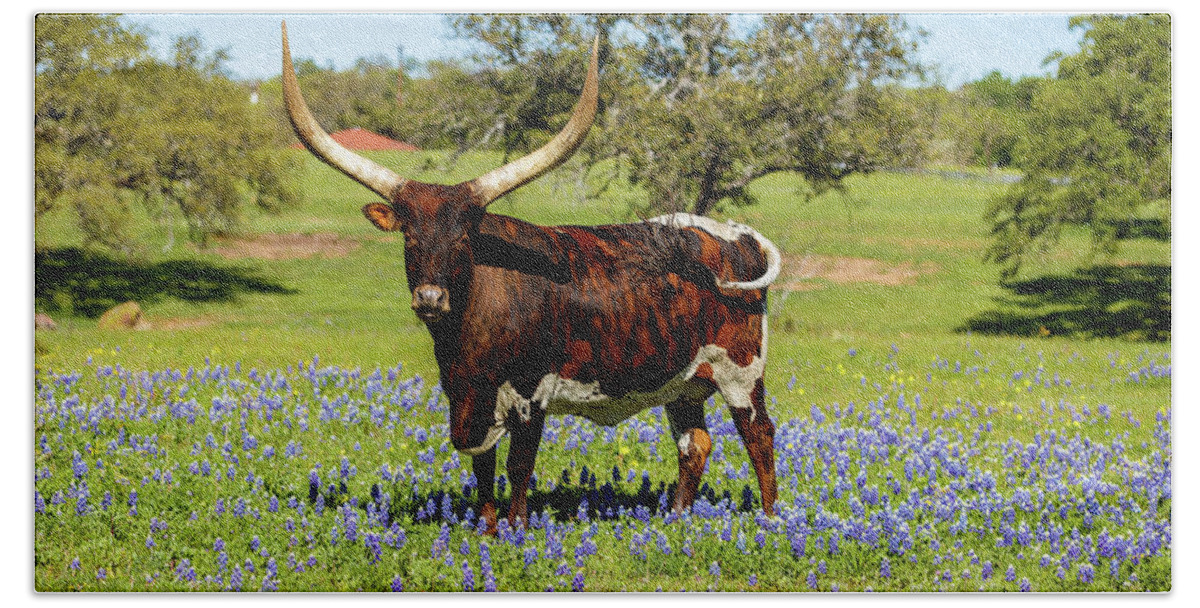 African Breed Bath Towel featuring the photograph Beautiful longhorn bull by Raul Rodriguez