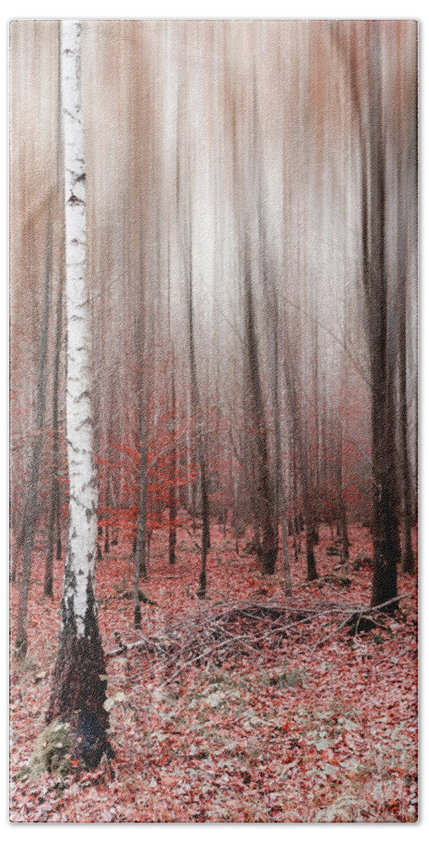 Abstract Hand Towel featuring the photograph Birchforest In Fall by Hannes Cmarits