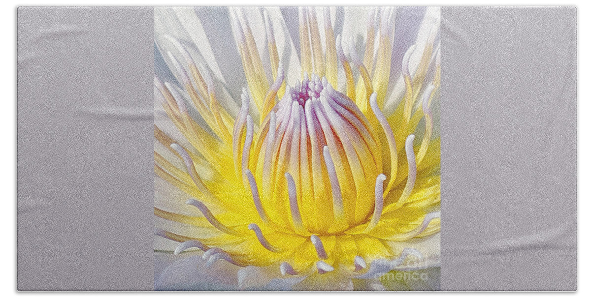  Blue Lotuses Hand Towel featuring the photograph Blue Water Lily #1 by Jennifer Robin