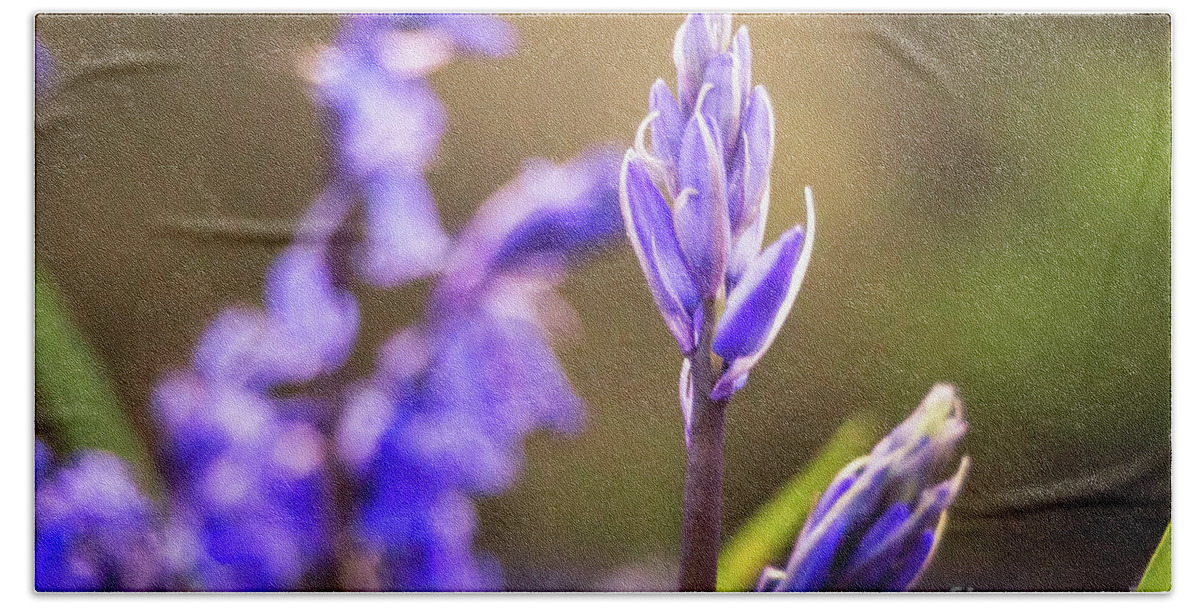 Mtphotography Hand Towel featuring the photograph Bluebells #1 by Mariusz Talarek