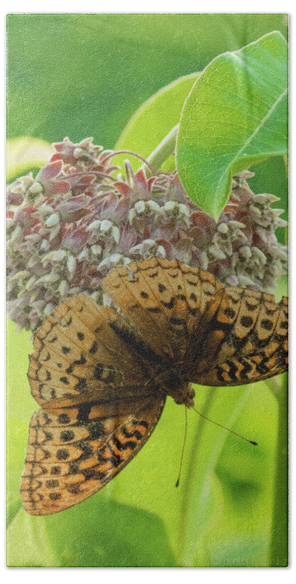 Butterfly Hand Towel featuring the photograph Butterfly On Wild Flower #1 by Henri Irizarri