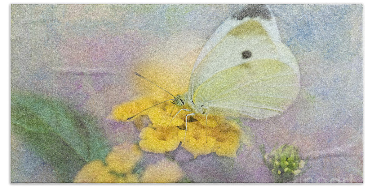 Cabbage White Butterflies Hand Towel featuring the photograph Cabbage White Butterfly #1 by Betty LaRue