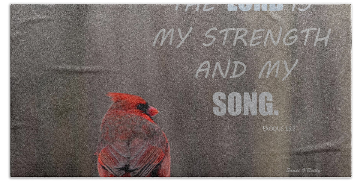 Northern Cardinal Bath Towel featuring the photograph Cardinal In The Snowstorm With Scripture by Sandi OReilly