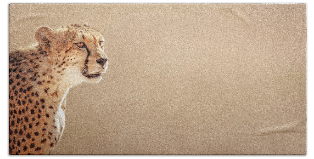 Cheetah Hand Towel featuring the photograph Cheetah portrait by Johan Swanepoel