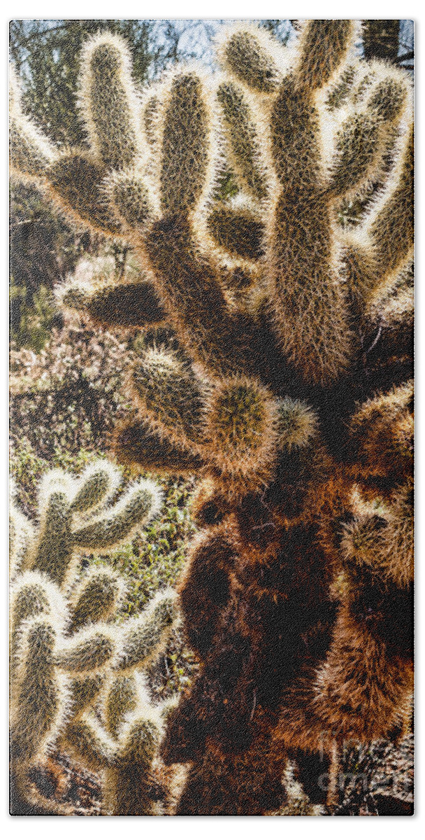 Arizona Hand Towel featuring the photograph Cholla Cacti #1 by Lawrence Burry