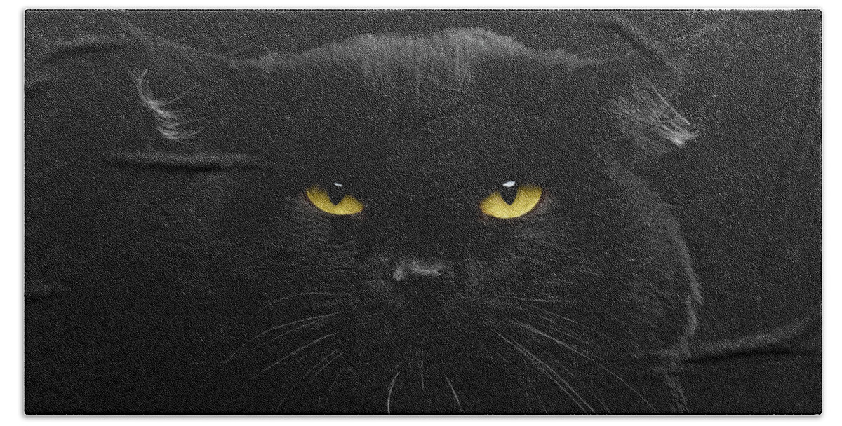 Black Hand Towel featuring the photograph Close-up Black Cat with Yellow Eyes by Sergey Taran