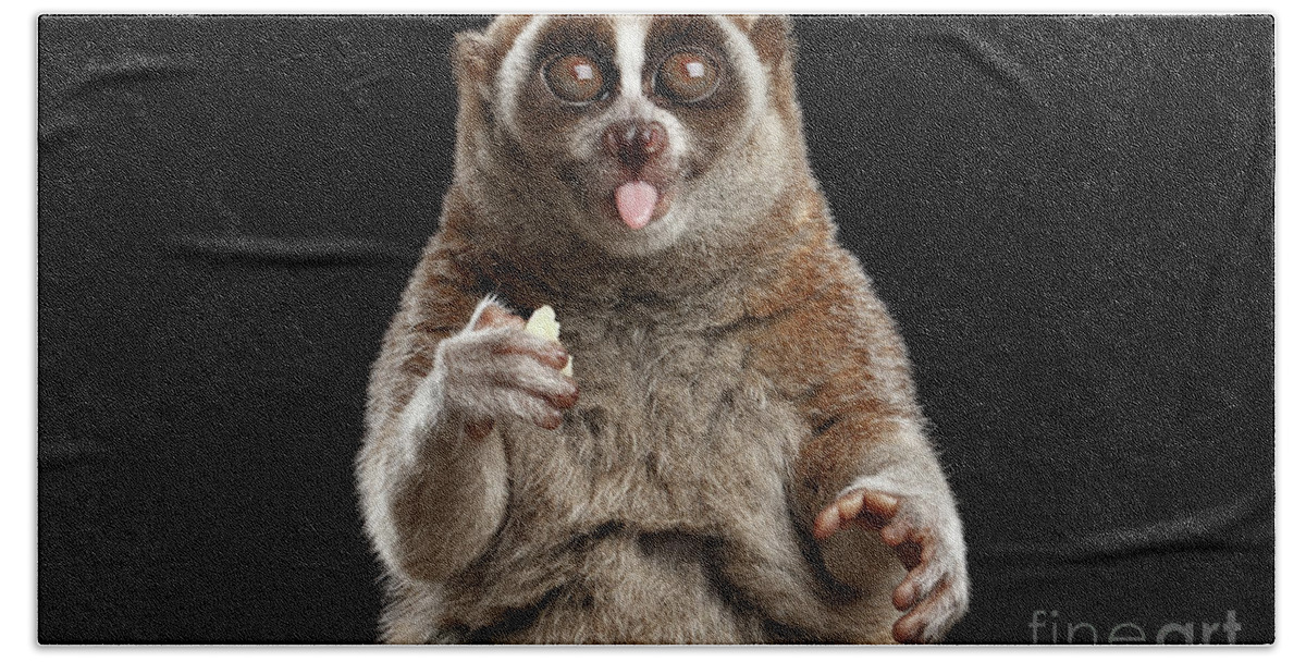 Loris Hand Towel featuring the photograph Lemur Slow Loris by Sergey Taran