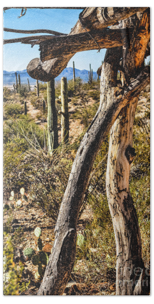 Arid Hand Towel featuring the photograph Desert Landscape #1 by Lawrence Burry
