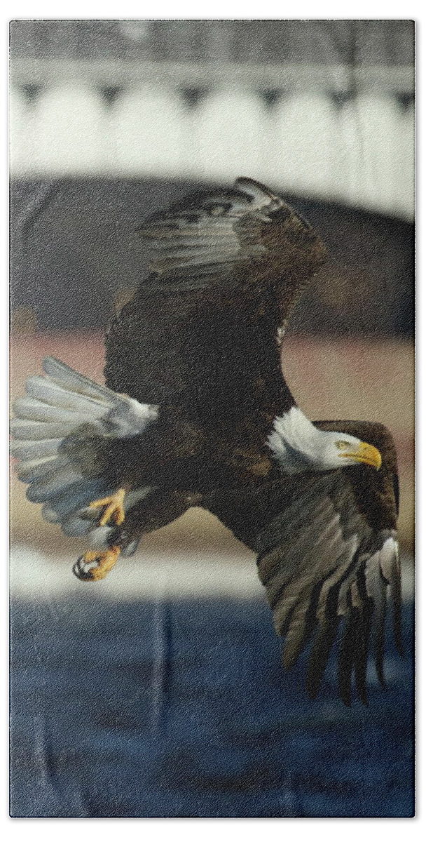 Eagle Hand Towel featuring the photograph Eagle Flight #1 by Coby Cooper