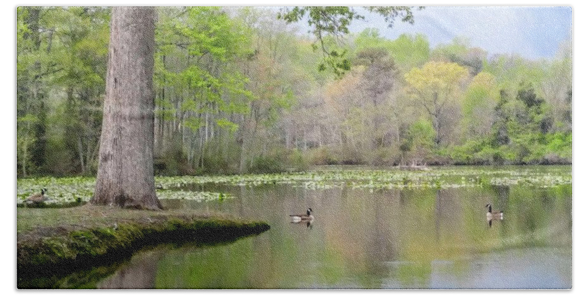 Landscape Pond Geese Hand Towel featuring the photograph Early Spring on the Pond #1 by Gail Butler