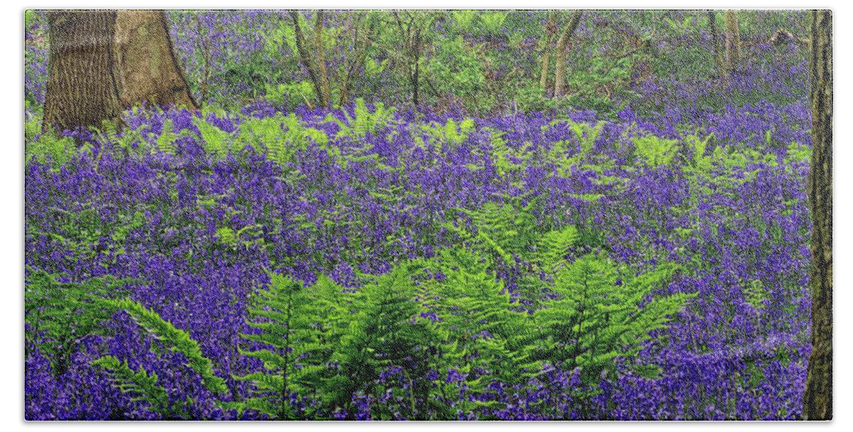English Bluebell Wood Bath Towel featuring the photograph English Bluebell Woodland #1 by Martyn Arnold