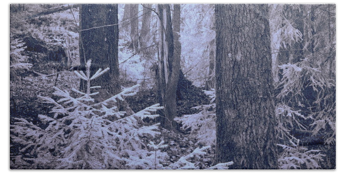 Jouko Lehto Bath Towel featuring the photograph Fairy forest. Infrared by Jouko Lehto