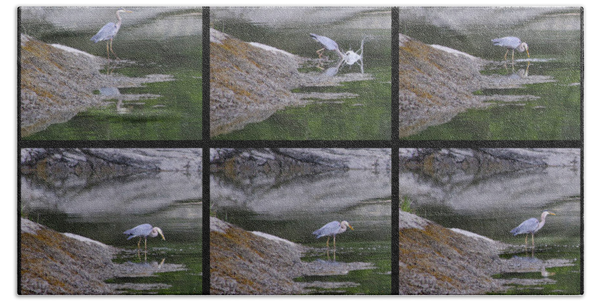 Great Blue Heron Hand Towel featuring the photograph Fishing by John Meader