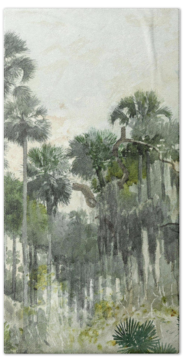 Winslow Homer Bath Towel featuring the drawing Florida Jungle #1 by Winslow Homer