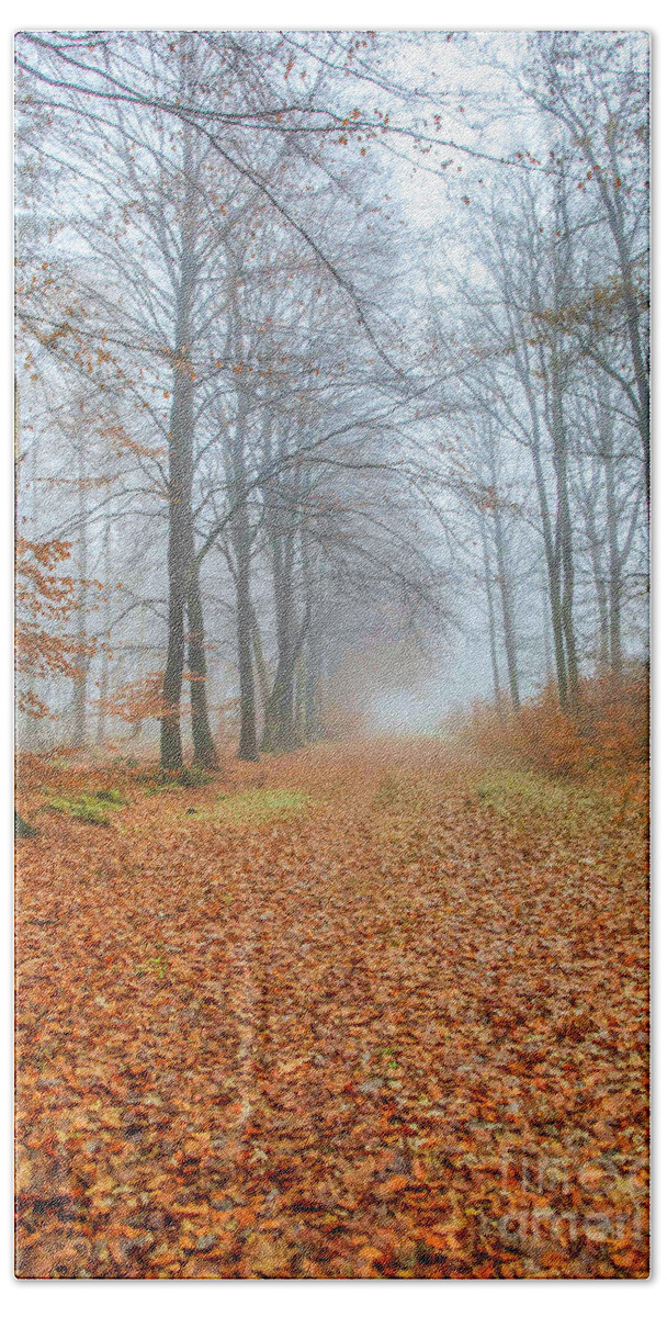Autumn Bath Towel featuring the photograph Footpath in fall forest by Patricia Hofmeester
