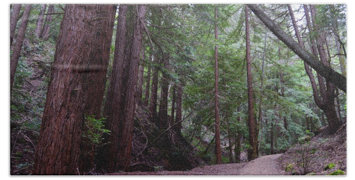 Forest Trail Bath Towel featuring the photograph Forest Trail #1 by Warren Thompson