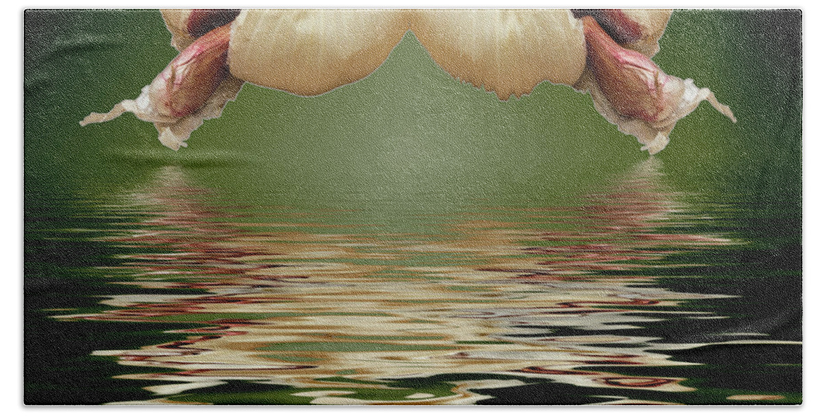 Garlic Hand Towel featuring the photograph Garlic cloves of Garlic #1 by David French