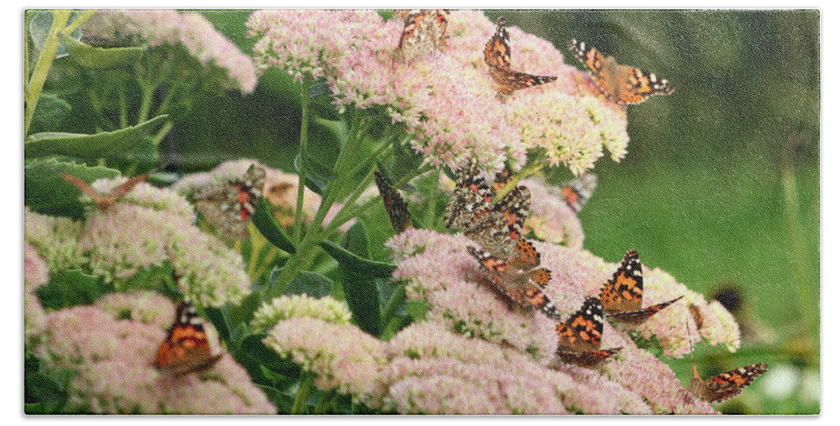 Butterfly Bath Sheet featuring the photograph Gathering of butterflies #1 by Lori Tordsen