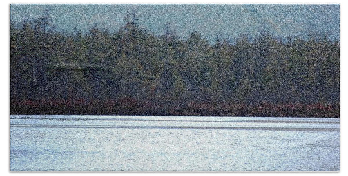 Digital Photograph Bath Towel featuring the photograph Geese on Labrador Pond #1 by David Lane