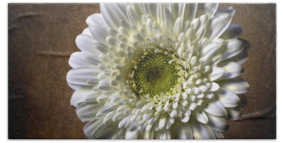 Gerbera Bath Towel featuring the photograph Gerbera #2 by Endre Balogh