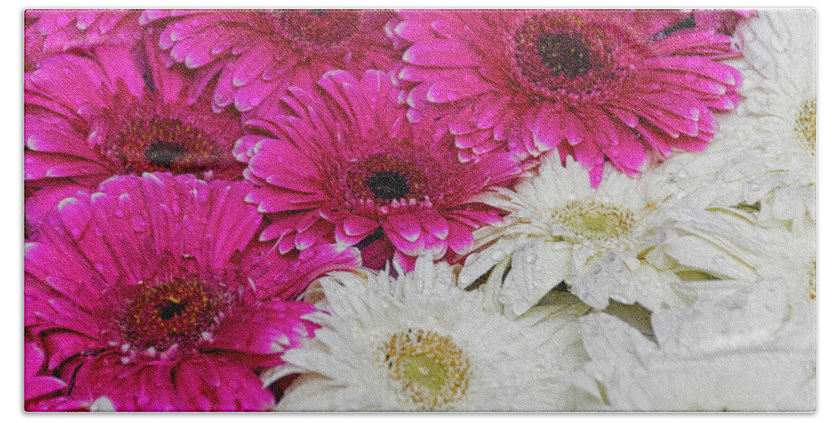 White Daisies Bath Towel featuring the photograph Gerbera III #1 by Paulo Goncalves