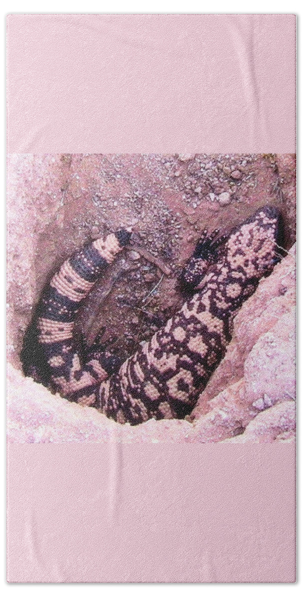 Arizona Bath Towel featuring the photograph Gila Monster - Number One by Judy Kennedy