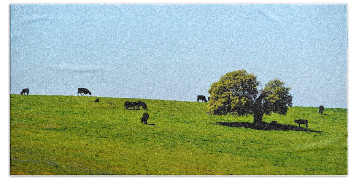 Scenic Bath Towel featuring the photograph Grazing in the Grass #1 by AJ Schibig