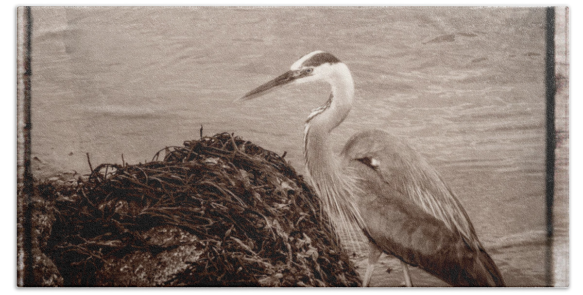Baril Hand Towel featuring the photograph Great Blue Heron #1 by Frank Winters