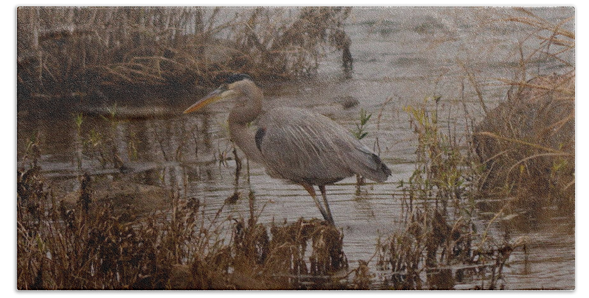 Great Bath Towel featuring the photograph Great blue heron #1 by James Smullins