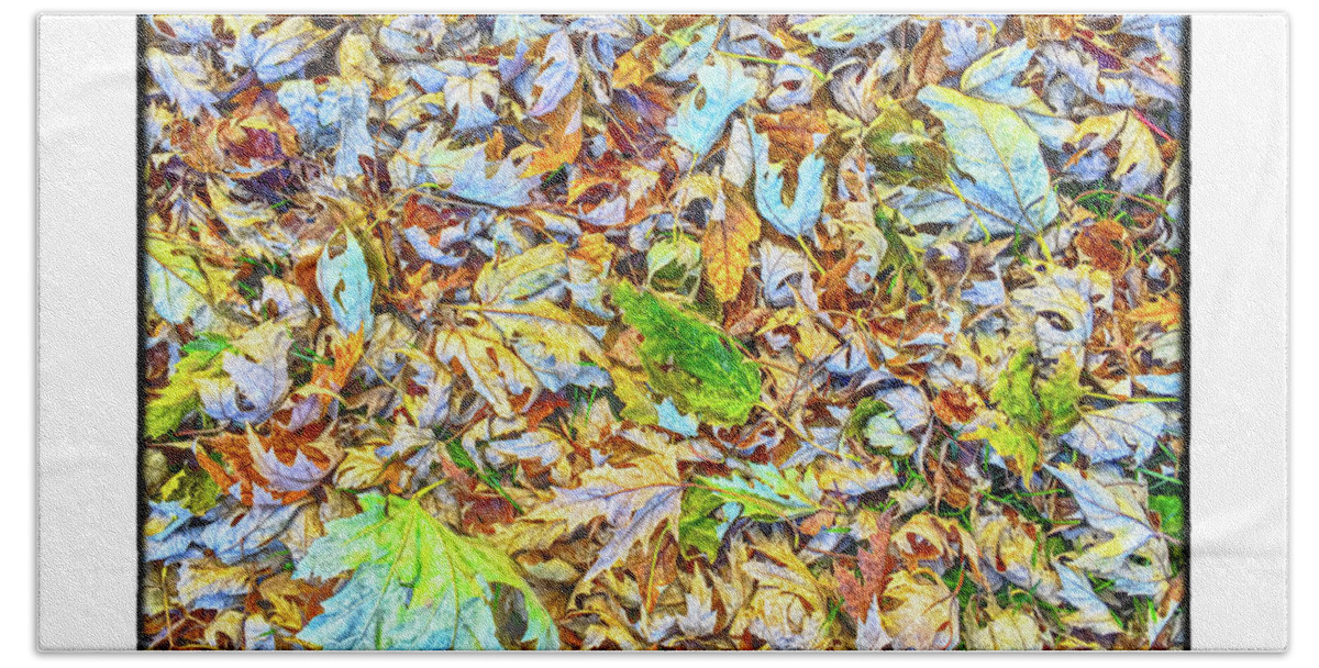 Leaves Hand Towel featuring the photograph Green Leaf #1 by R Thomas Berner