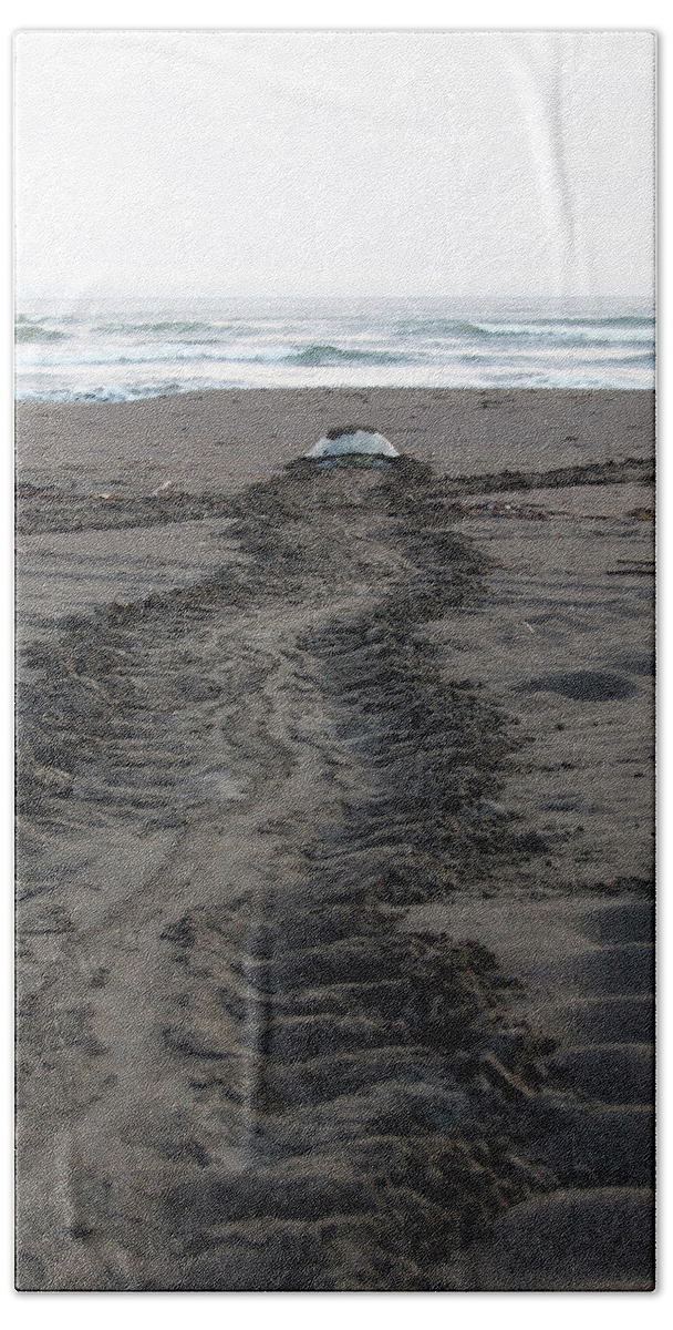 Green Sea Turtle Bath Towel featuring the photograph Green Sea Turtle returning to sea #1 by Breck Bartholomew