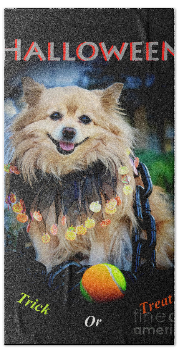Halloween Bath Towel featuring the photograph Halloween Dog #1 by Charline Xia