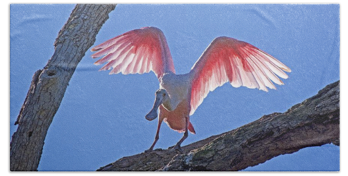 Wildlife Bath Towel featuring the photograph Happy Spoonbill #1 by Kenneth Albin