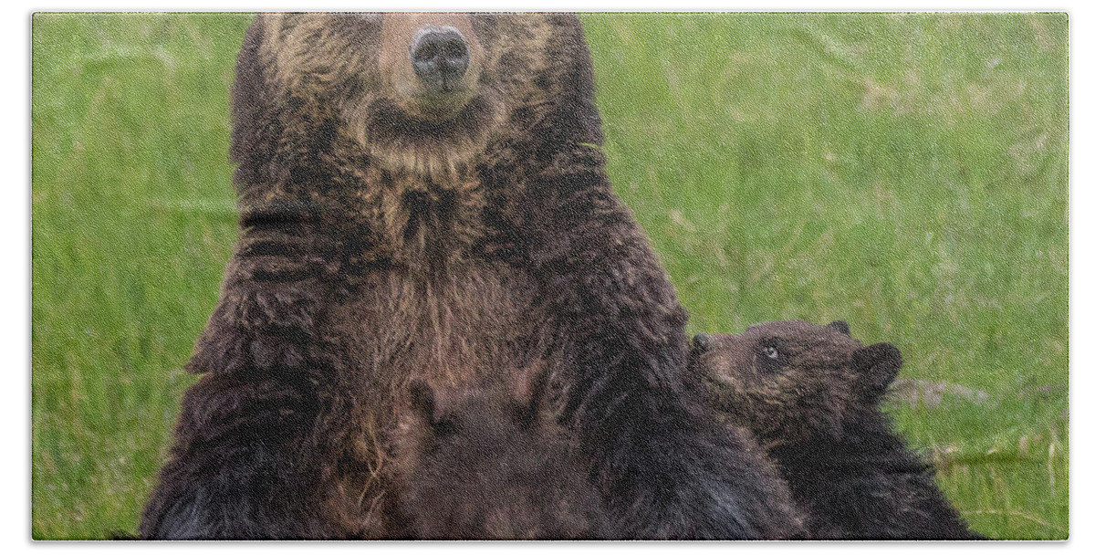 Grizzlies Hand Towel featuring the photograph I Love My Mom #1 by Yeates Photography