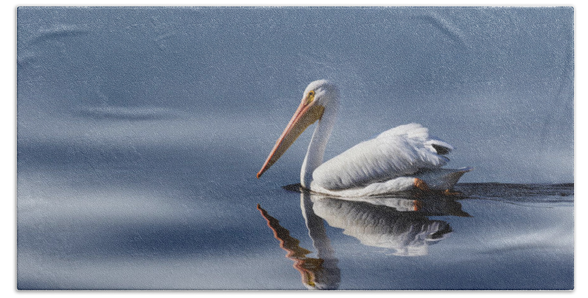 Pelican Bath Towel featuring the photograph Into The Light #2 by Kim Hojnacki