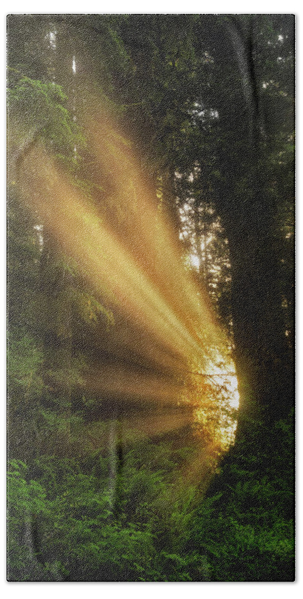 California Bath Towel featuring the photograph Into the Light #1 by Nicki Frates