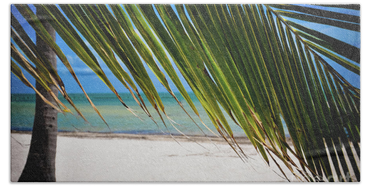 Key West Palm Tree Hand Towel featuring the photograph Key West Palm #2 by Kelly Wade