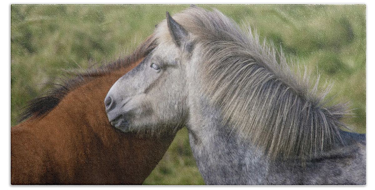 Icelandic Horses Hand Towel featuring the photograph Lean on me by Elvira Butler