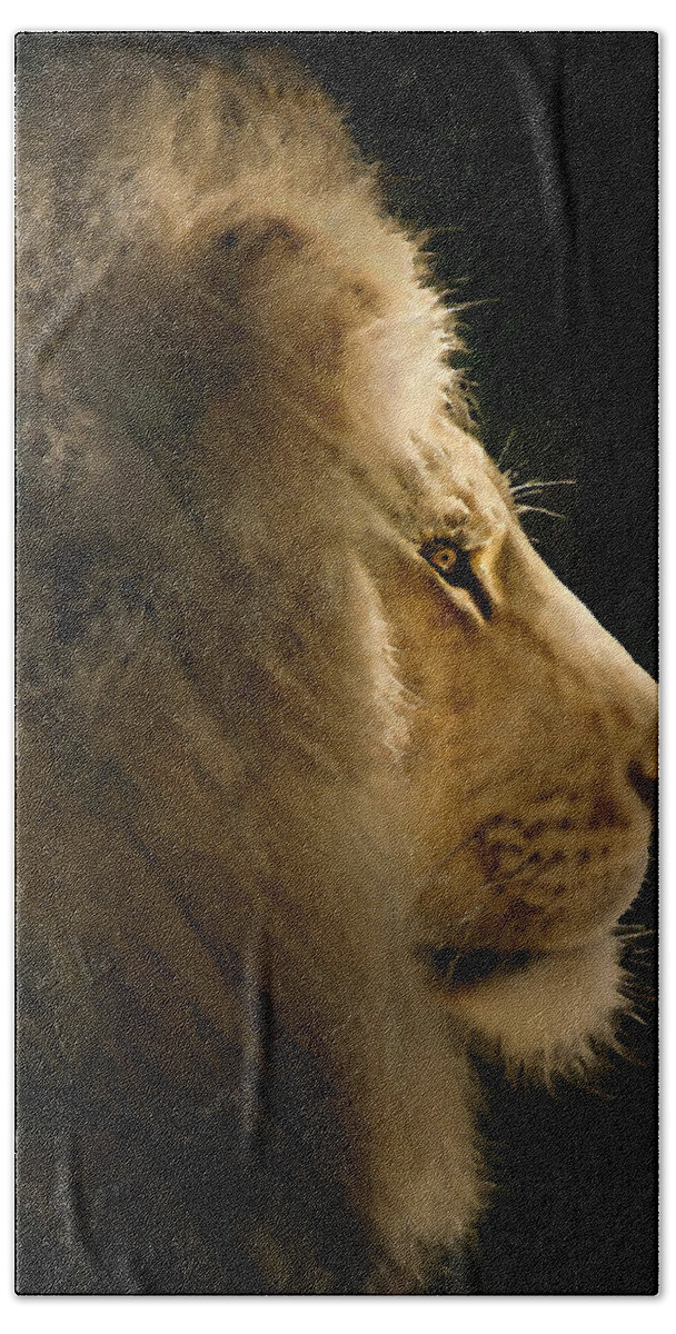 Lion Bath Towel featuring the photograph Lion of Judah II #2 by Sharon Foster