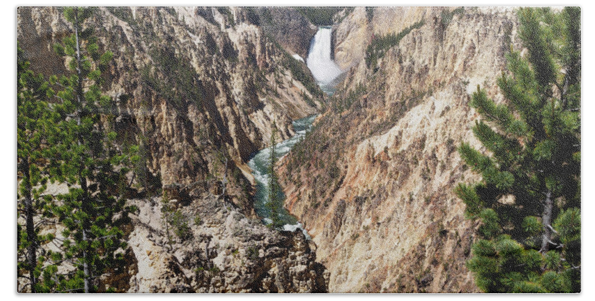 Lower Falls Bath Towel featuring the photograph Lower Falls from Artist Point in Yellowstone National Park #1 by Louise Heusinkveld