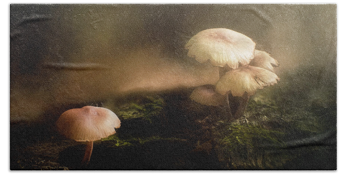 Wisconsin Bath Towel featuring the photograph Magic Mushrooms #1 by Scott Norris
