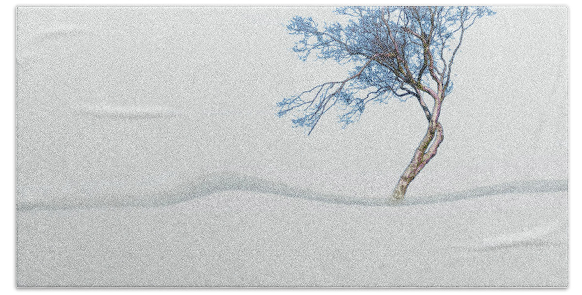Mindfulness Hand Towel featuring the photograph Mindfulness Tree #2 by LemonArt Photography