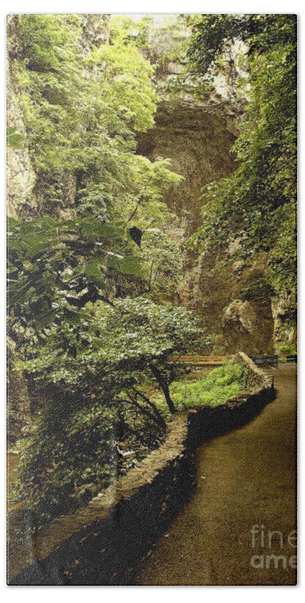 Nature Bath Towel featuring the photograph Natural Bridge #1 by Raymond Earley