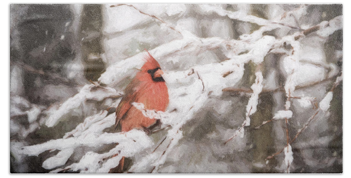 Northern Cardinal Bath Towel featuring the photograph Northern Cardinal in Snow #1 by David Kay