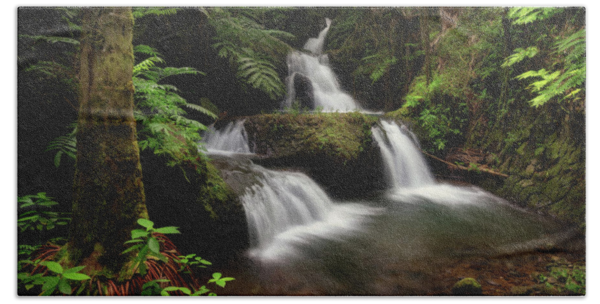 Hawaii Bath Towel featuring the photograph Onomea Falls #1 by Christopher Johnson