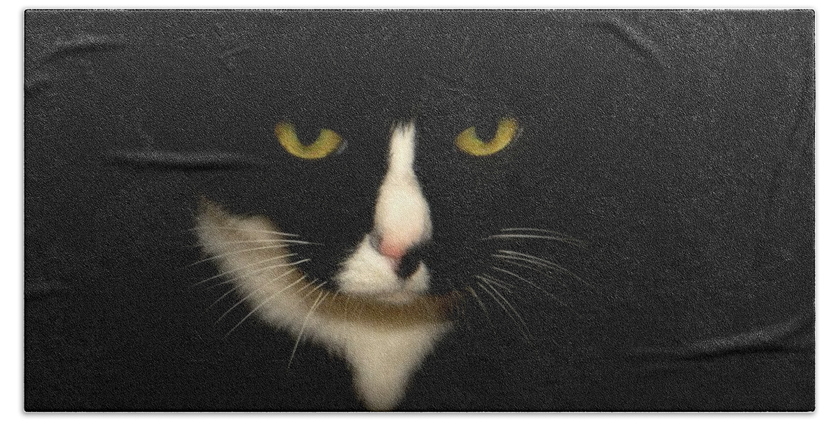 Cat Hand Towel featuring the photograph Oreo by Angie Tirado