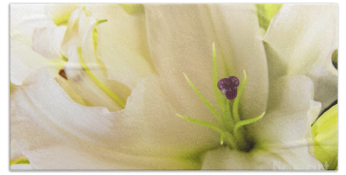 Alive Bath Towel featuring the photograph Oriental Lily Flower by Raul Rodriguez