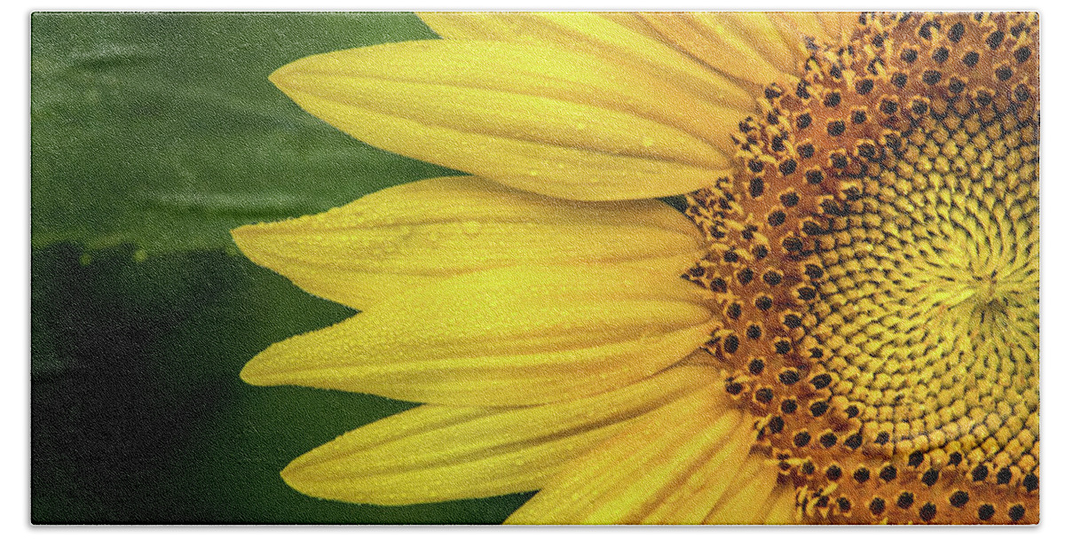 Flower Hand Towel featuring the photograph Partial Sunflower #1 by Don Johnson