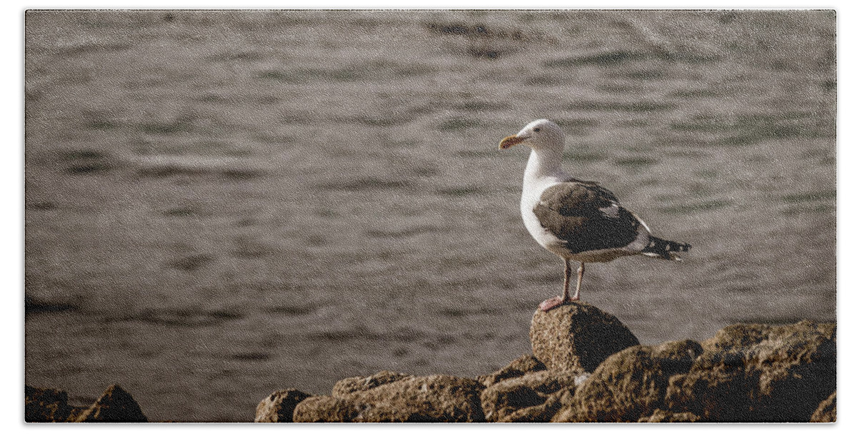 Seagull Bath Towel featuring the photograph Perched #1 by David Barile